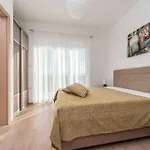 Villa Superior Four Bedroom With Private Pool 2 Debeljak